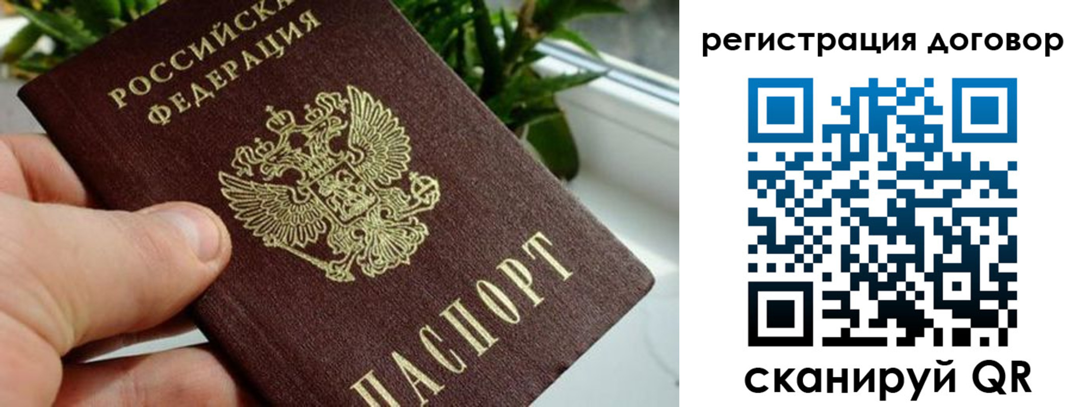 прописка ребенка в Судогде